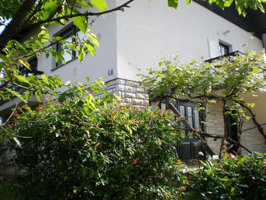Apartment Vi&Mi Slunj Exterior foto