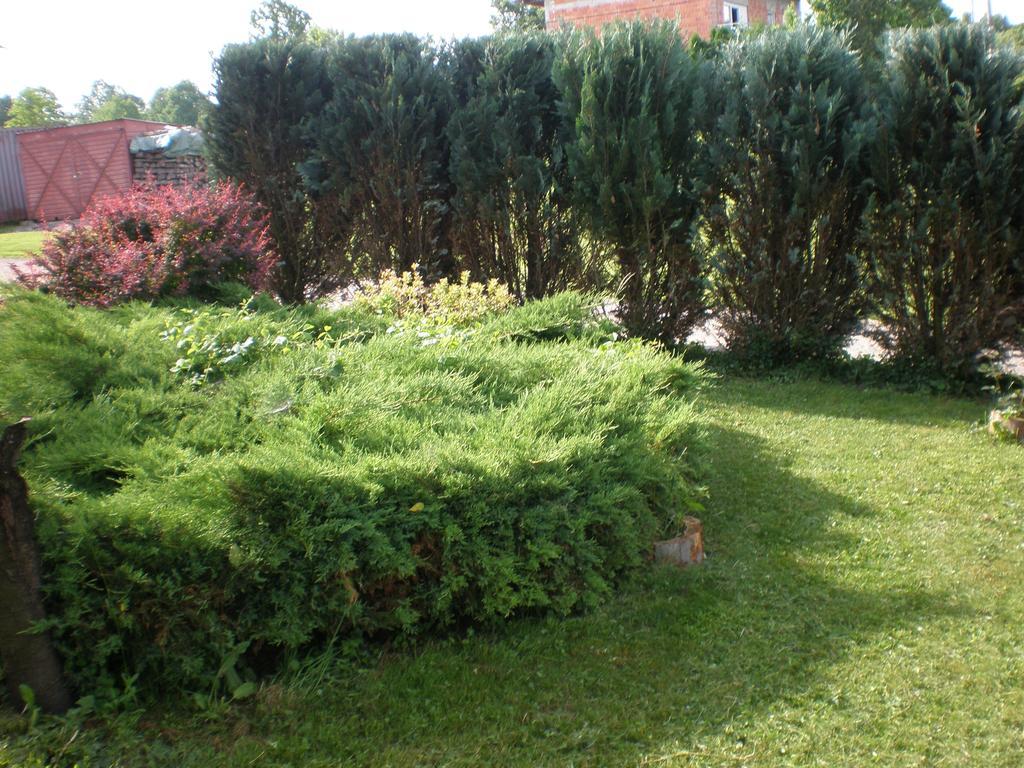 Apartment Vi&Mi Slunj Exterior foto